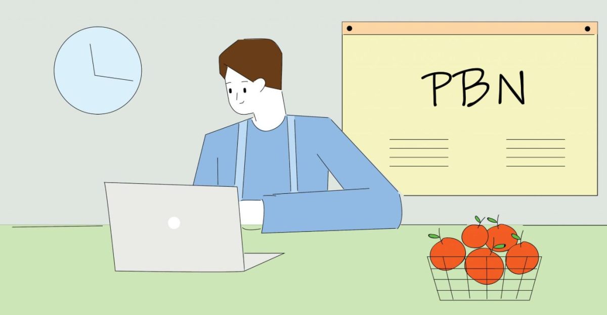 pbn la gi 3